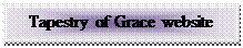 Text Box: Tapestry of Grace website